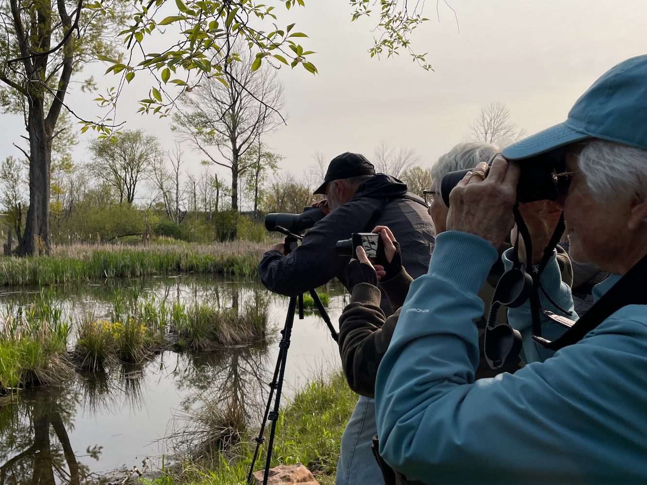 Dead River Marshes 3 - Edited