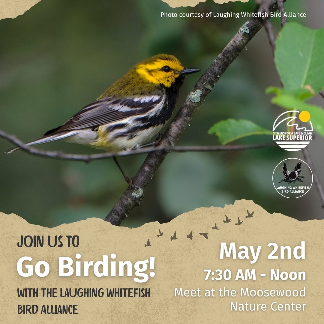 5-26 Birding Walk