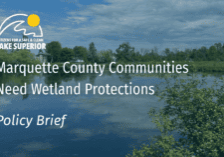 Policy Brief Marquette County Needs Wetland Protections (Photo) (2)